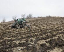 (ФОТО) Министерство окружающей среды запустило кампанию по восстановлению лесов. Где можно посадить деревья?