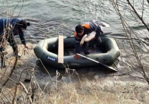 (ФОТО) В Приднестровье на реке Турунчук спасли слепого лебедя