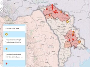 Nouă focare de Pestă Porcină Africană confirmate în Moldova în ultima săptămână