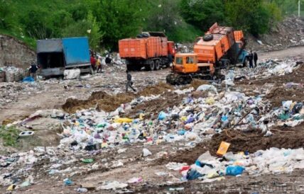 Moldova 1/imagine simbol