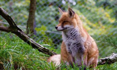 20d4bfa7-80c5-4fce-a073-b2e61b906f1d