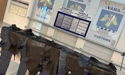 customs.gov.md