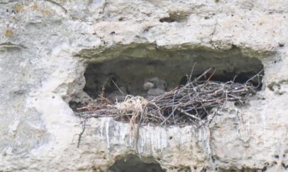 Facebook/Rezervația Cultural-Naturală „Orheiul Vechi”