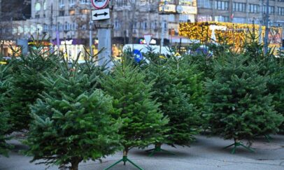 Primăria Municipiului Chișinău