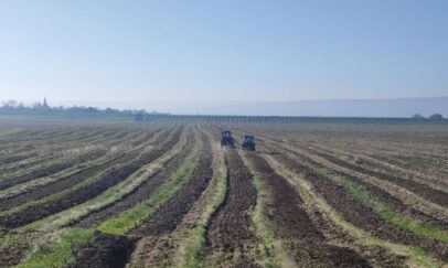 63e0edd6-dce7-40dc-a02b-6cf9f276b9c6