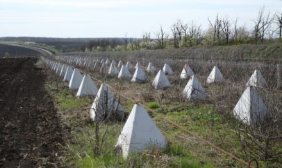 Оперативне командування "Захід"﻿