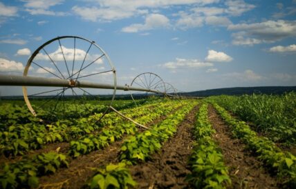 Agricultura_moderna03