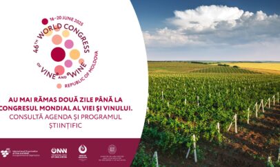 Au mai rămas două zile până la Congresul OIV