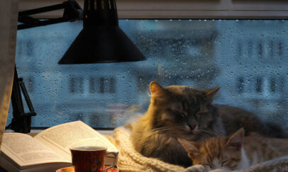 cozy-rain-pics-310-6329d04957d24__700