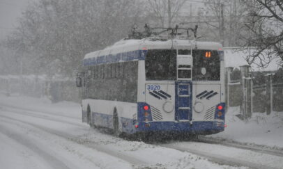 Tudor Mardei | NewsMaker