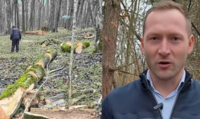 Gemini_Generated_Image_obhaqmobhaqmobha