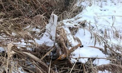 Poliția Republicii Moldova