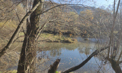 NewsMaker / Евгений Чебан