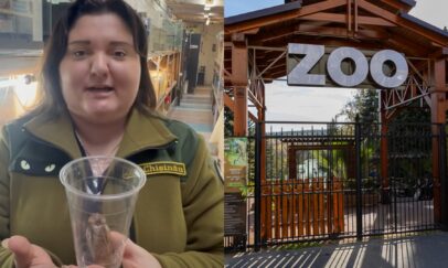 photo-collage.png (1)