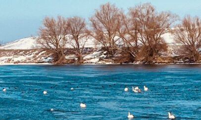 Facebook/Inspectoratul pentru Protecția Mediului