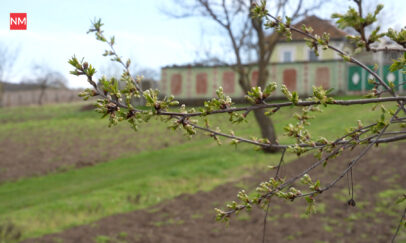 RO ÎNGHEȚURI SATE.00_00_12_16.Still008