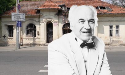 RO vox (46)