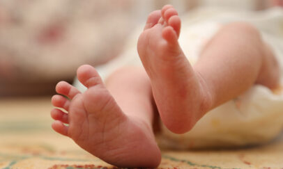 chicagomorningstar.com