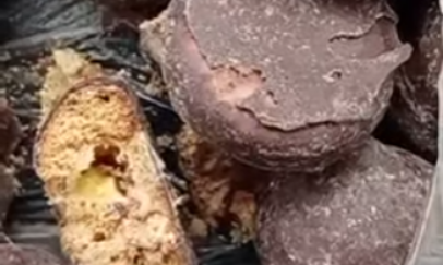 Снимок экрана 2025-12-24 161831