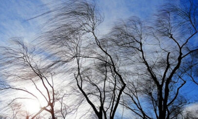 igsu.gov.md/foto simbol